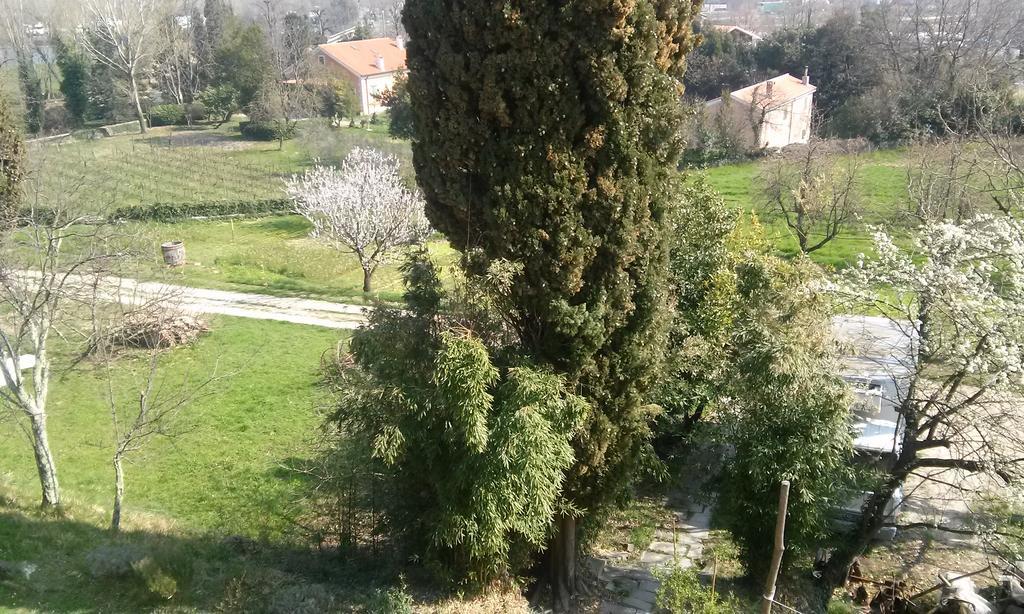 Agriturismo Bosco Fiorito Villa Múggia Buitenkant foto